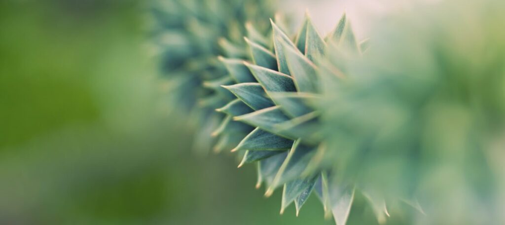 Join our communications team as a Junior Analyst