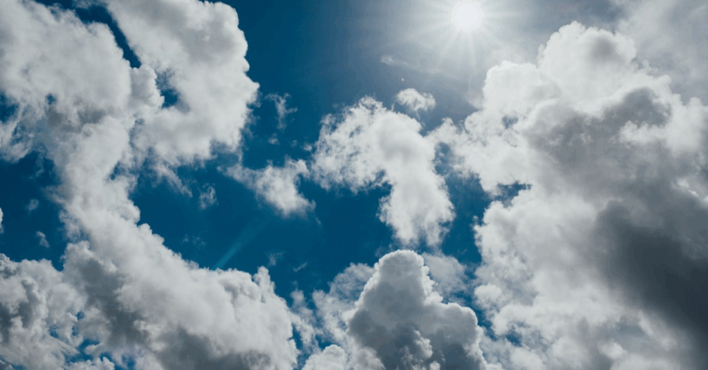 Student Assistant for “LEO Historical Archives and Museum”