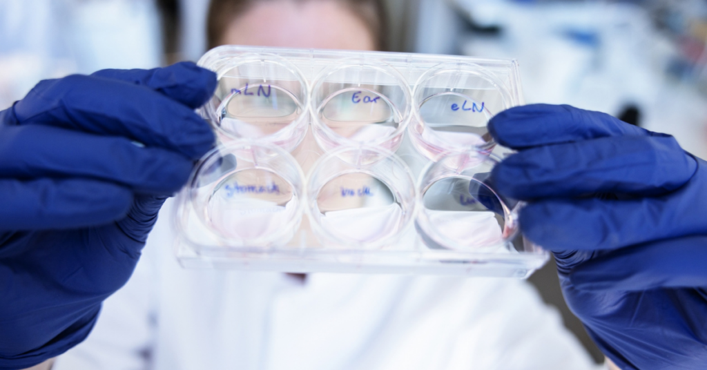 Research Grants move to one annual international call – new European call to follow